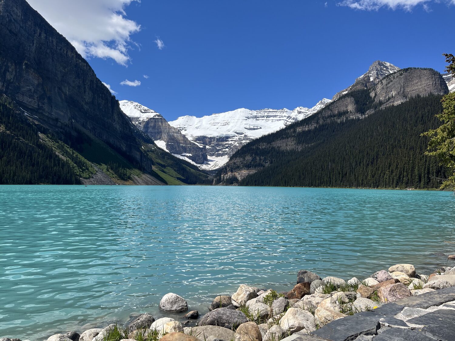Turquoise Lake Louise and glacier panorama