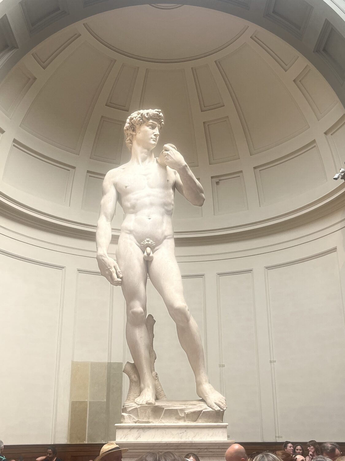 Full view of Michelangelo's David