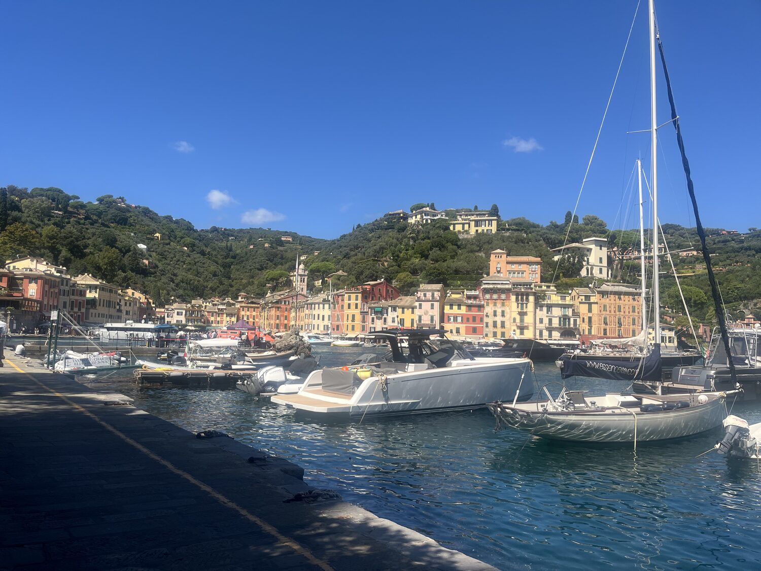 Wide view across Portofino harbor