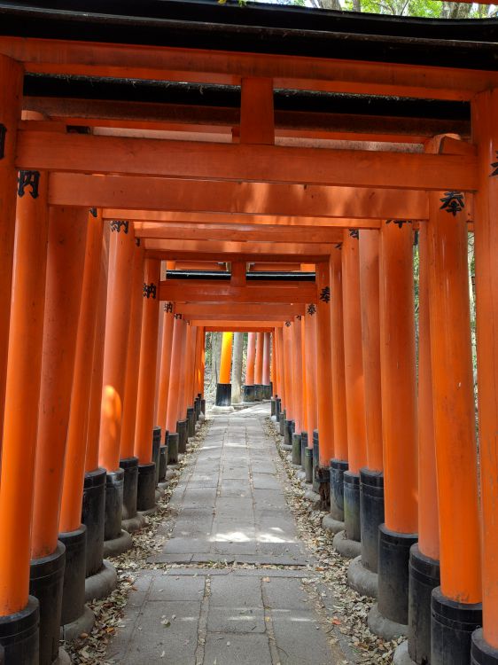 Fushimi gates