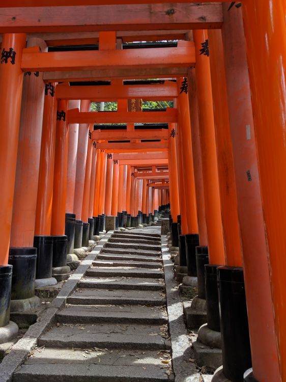 Fushimi gates