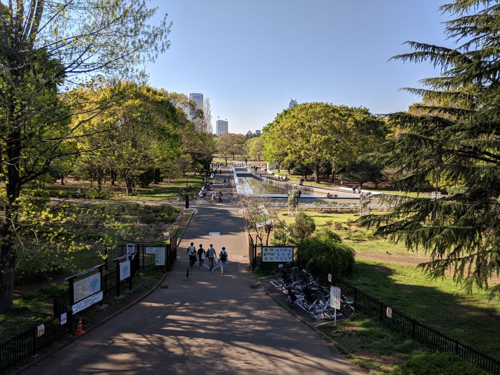 yoyogi park