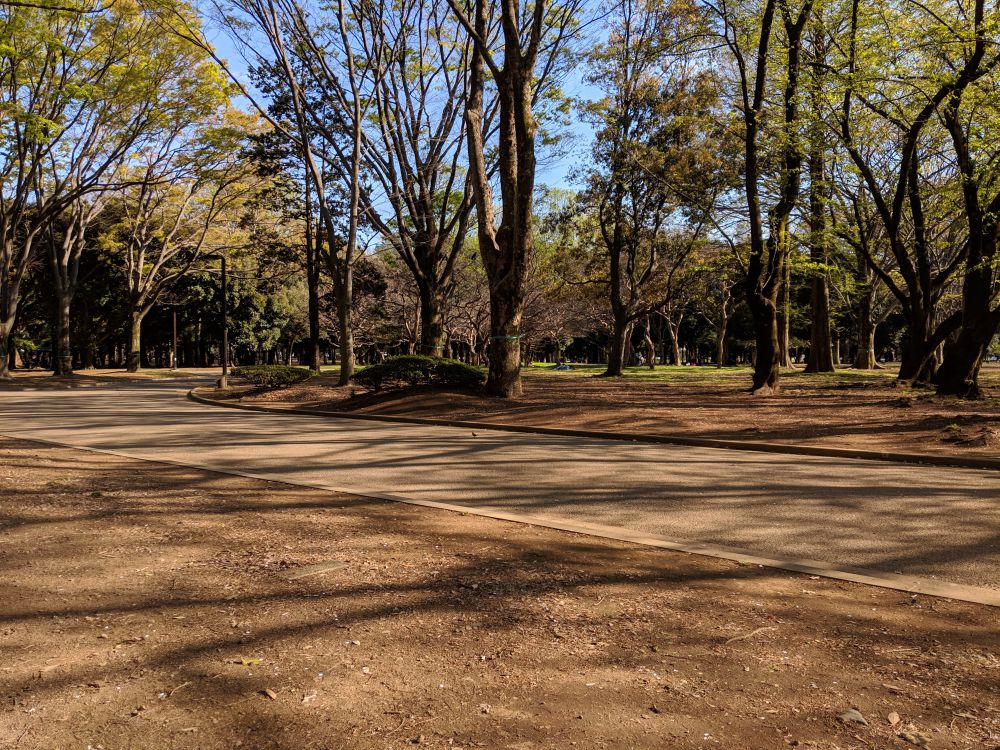 yoyogi park