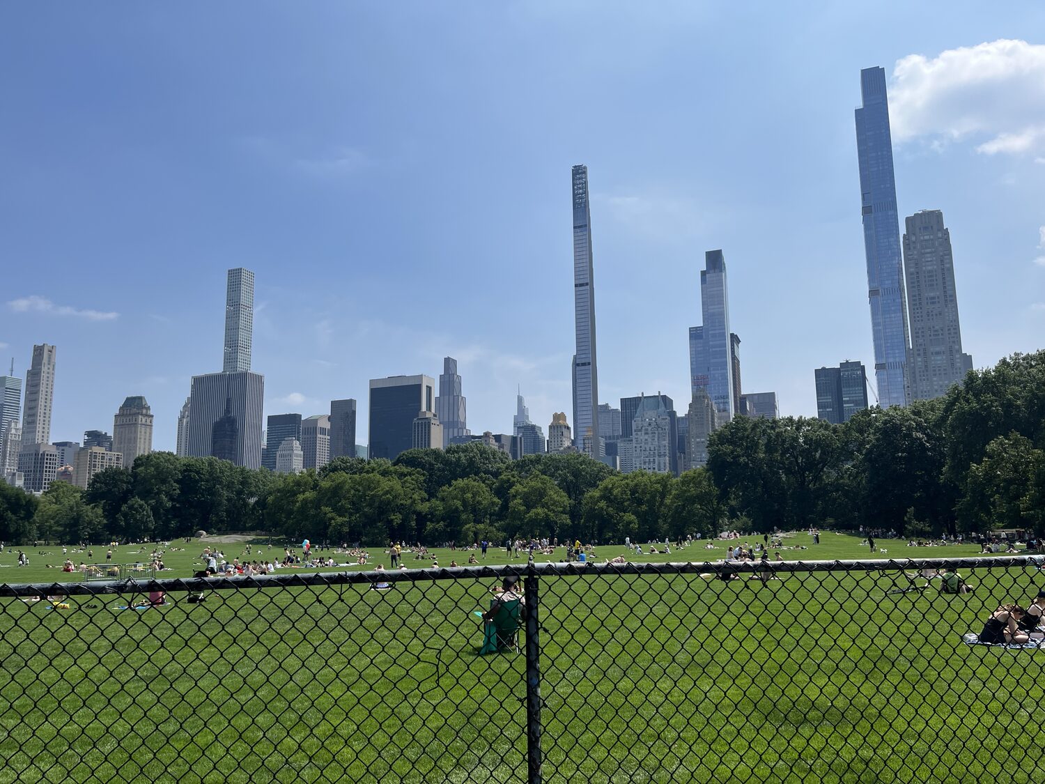 Central Park lawn and Midtown skyline